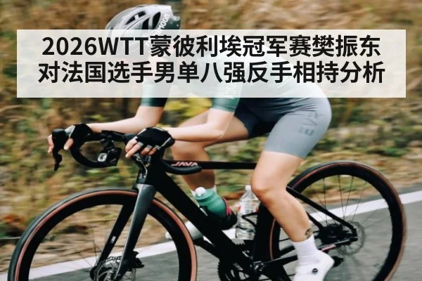 2026WTT蒙彼利埃冠军赛樊振东对法国选手男单八强反手相持分析（aiyouxi）